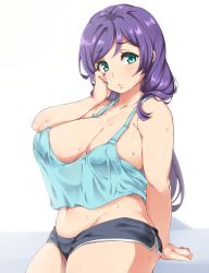 10s 1girl bare_shoulders breasts camisole cleavage collarbone downblouse green_eyes groin hair_over_shoulder large_breasts lips long_hair looking_at_viewer love_live! love_live!_school_idol_project midriff moisture_(chichi) navel no_bra plump purple_hair short_shorts shorts simple_background solo sweat thick_thighs thighs tojo_nozomi rating:Sensitive score:132 user:danbooru