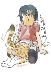  10s 2girls animal_ears artist_name bad_id bad_twitter_id black_legwear blue_eyes blue_hair commentary elbow_gloves gloves hand_on_another&#039;s_ass head_under_shirt kaban_(kemono_friends) kemono_friends multiple_girls print_gloves print_legwear print_skirt red_shirt serval_(kemono_friends) serval_print serval_tail shirt simple_background sitting sketch skirt tail tail_wagging thighhighs white_background yotsura yuri  rating:Sensitive score:19 user:danbooru