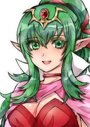  1girl :d breasts cape choker cleavage commentary_request dress fire_emblem fire_emblem_awakening green_eyes green_hair hair_between_eyes long_hair looking_at_viewer moyashi2656 nintendo open_mouth pink_cape pointy_ears ponytail red_choker red_dress smile solo tiara tiki_(adult)_(fire_emblem) tiki_(fire_emblem) white_background 