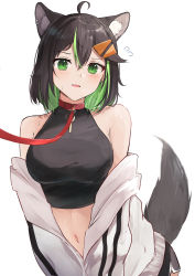 1girl ahoge animal_ear_fluff animal_ears black_hair blush breasts collar colored_inner_hair crop_top green_eyes green_hair hair_between_eyes hair_ornament hairclip highres jacket large_breasts leash long_hair multicolored_hair navel off_shoulder open_clothes open_jacket original parted_lips red_collar shuuzo3 simple_background solo sweat tail viewer_holding_leash white_background white_jacket rating:Sensitive score:21 user:danbooru