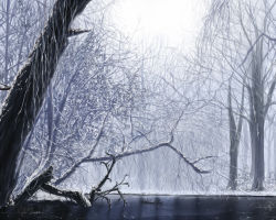  lake landscape original scenery shimo_(depthbomb) snow tree winter  rating:General score:27 user:danbooru