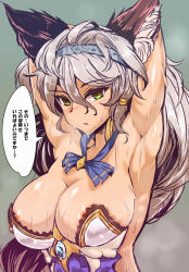 10s 1girl animal_ear_fluff animal_ears areola_slip armpits arms_behind_head blue_eyes blush breasts cleavage erune female_focus gold_trim granblue_fantasy grey_background grey_hair hairband heles highres large_breasts long_hair looking_at_viewer md5_mismatch open_mouth simple_background solo sweat translated upper_body wakura_(gcdan) yellow_eyes rating:Questionable score:48 user:danbooru