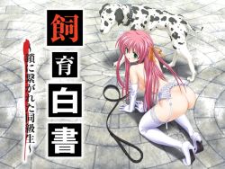 1girl aihara_sarina all_fours animal_collar ass blush breasts butt_crack check_translation collar copyright_name dalmatian delta_(delta0127) dog elbow_gloves from_above from_behind full_body garter_belt garter_straps gloves green_eyes hanging_breasts leash leo_(shiiku_hakusho) long_hair looking_to_the_side nipples nude pet_play petgirl pink_hair shiiku_hakusho shoes small_breasts solo_focus stone_floor thighhighs translated translation_request two_side_up very_long_hair wedding wedding_lingerie white_footwear white_garter_belt white_garter_straps white_gloves white_thighhighs