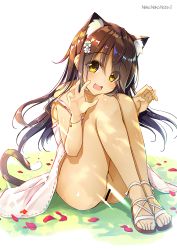 1girl animal_ears bar_censor blush bracelet brown_eyes brown_hair cat_ears cat_tail censored claw_pose dress extra_ears fang flower grass hair_flower hair_ornament jewelry long_hair looking_at_viewer no_panties open_mouth original petals sandals simple_background sitting smile solo strap_slip tail white_background yanagi_yuu rating:Questionable score:23 user:danbooru