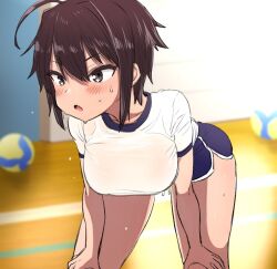 1girl ahoge ball blue_shorts blush breasts brown_eyes brown_hair commentary_request dolphin_shorts ebisujima_misato fang gym gym_shirt gym_shorts gym_uniform hair_between_eyes hand_on_own_leg large_breasts leaning_forward looking_to_the_side open_mouth oppai_loli original school school_uniform shirt short_hair short_shorts short_sleeves shorts sidelocks solo sweat takahashi_chiaki_(ebisujima_misato) tomboy v-shaped_eyebrows white_shirt 