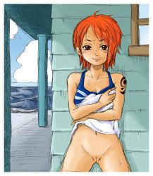  1girl bare_shoulders blush border breasts brown_eyes clothes_lift cloud decensored dress dress_lift kurita lifting_own_clothes looking_at_viewer medium_breasts nami_(one_piece) no_panties ocean one_piece orange_hair outdoors pussy skirt skirt_lift sky smile solo sweat tank_top tattoo thigh_gap thighs third-party_edit undressing water white_border  rating:Explicit score:110 user:ryouma1717