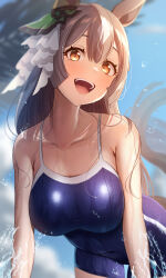  1girl :d absurdres animal_ears bare_shoulders blue_one-piece_swimsuit blue_sky breasts brown_hair cloud cloudy_sky collarbone commentary competition_school_swimsuit competition_swimsuit ear_ornament hair_between_eyes highres horse_ears horse_girl large_breasts long_hair looking_at_viewer multicolored_hair one-piece_swimsuit open_mouth outdoors palm_tree ray_mil68 satono_diamond_(umamusume) school_swimsuit sky smile solo streaked_hair swimsuit teeth tracen_swimsuit tree umamusume upper_body upper_teeth_only wet white_hair yellow_eyes  rating:Sensitive score:13 user:danbooru