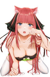 1girl all_fours animal_ears blue_eyes blunt_bangs blush breasts cat_cutout cat_ears cat_lingerie cat_tail cleavage cleavage_cutout clothing_cutout collarbone fangs go-toubun_no_hanayome green_skirt hair_ornament hair_ribbon highres large_breasts long_hair looking_at_viewer meme_attire nakano_nino open_mouth paw_pose pleated_skirt red_hair ribbon sidelocks simple_background skindentation skirt solo tail thighhighs tsurime uiri-na white_background white_thighhighs rating:Sensitive score:26 user:danbooru