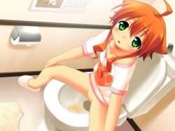 1girl akatsuki_mao animal_ears bathroom blush bottomless brown_hair calendar collarbone dog_ears dog_girl from_above green_eyes hands_on_own_knees loli looking_up mikan_(wanko) open_mouth paw_print peeing print_shirt pussy shirt short_hair short_sleeves sitting slippers toilet toilet_paper toilet_use uncensored wanko_to_kurasou white_footwear white_shirt rating:Explicit score:33 user:Gogito4089