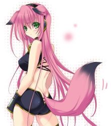  animal_ears ass blush breasts fox_ears green_eyes headband large_breasts long_hair lowres megurine_luka pink_hair short_shorts shorts tail thighhighs third-party_edit very_long_hair vocaloid  rating:Sensitive score:34 user:PainofSixPaths