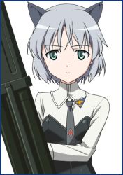  1girl animal_ears cat_ears framed lowres sanya_v._litvyak solo strike_witches tagme world_witches_series  rating:General score:8 user:okayillgonow