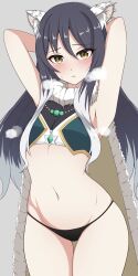  1girl absurdres animal_ears armpits arms_up black_hair breasts cape crop_top hair_between_eyes hair_ornament heavy_breathing hello_pty highres looking_at_viewer navel open_mouth panties princess_connect! shiori_(princess_connect!) simple_background small_breasts solo underwear white_background yellow_eyes  rating:Sensitive score:16 user:danbooru