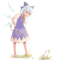  1girl barefoot bionekojita blue_bow blue_dress blue_eyes blue_hair bow cirno closed_mouth commentary_request detached_wings dress flower grass hair_bow ice ice_wings looking_at_flowers morning_glory neck_flower plant short_hair solo sunflower tan tanned_cirno touhou vines wings 