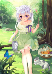 1girl :3 absurdres animal_ear_fluff animal_ears barefoot blush bug butterfly cat cat_ears cat_girl cat_teaser commentary_request day dress forest green_dress highres insect legs long_hair md5_mismatch moe2020 nature original outdoors purple_eyes resolution_mismatch silver_hair sitting smile source_smaller sundress taku_michi tree rating:Sensitive score:10 user:danbooru