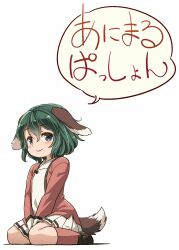  1girl animal_ears black_footwear blush closed_mouth dog_ears dog_tail dress full_body green_eyes green_hair highres kasodani_kyouko looking_at_viewer open_clothes open_dress pink_dress pink_socks seiza shoes short_hair simple_background sitting smile socks solo speech_bubble tail touhou white_background white_dress yudepii 