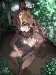  1girl animal_in_mouth barefoot blood blood_on_face breasts brown_hair chainsaw_man cross-shaped_pupils dappled_sunlight dirty foreshortening forest hair_censor highres horns kota_2kx long_hair looking_at_viewer messy_hair mouse_(animal) nature nude power_(chainsaw_man) red_horns small_breasts solo sunlight symbol-shaped_pupils yellow_eyes  rating:Sensitive score:18 user:danbooru