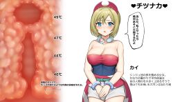 1girl absurdres blonde_hair blue_eyes breasts creatures_(company) cross-section game_freak highres irida_(pokemon) large_breasts looking_at_viewer nintendo pipi20211026 pokemon pokemon_legends:_arceus solo tagme translated uterus rating:Explicit score:45 user:Zeiphyr