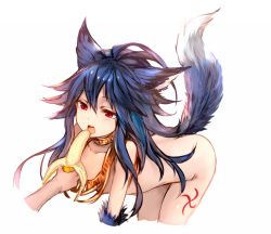 1girl animal_ears banana bent_over blue_hair commentary_request fenrir_(shingeki_no_bahamut) food fruit fur granblue_fantasy hair_between_eyes highres long_hair open_mouth red_eyes revision sexually_suggestive simple_background solo_focus sukemyon tail teeth upper_teeth_only white_background wolf_ears wolf_tail rating:Questionable score:22 user:danbooru