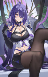  1girl acheron_(honkai:_star_rail) black_choker black_gloves black_pantyhose black_shorts breasts catsmoon choker cleavage collarbone commentary_request criss-cross_halter elbow_gloves feet_out_of_frame gloves hair_ornament halterneck hand_up highres honkai:_star_rail honkai_(series) large_breasts long_hair looking_at_viewer midriff navel pantyhose purple_eyes purple_hair short_shorts shorts single_bare_shoulder sitting smile solo thighs very_long_hair  rating:Sensitive score:11 user:danbooru