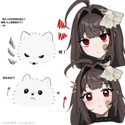  1girl ahoge animal animal_on_head artist_name bandaid bandaid_on_cheek bandaid_on_face brown_hair bug chinese_text choker closed_mouth dog expressions hair_intakes hashtag-only_commentary insect long_hair looking_at_viewer meme meme_request mole mole_under_eye moth multiple_views on_head original red_eyes spiked_choker spikes translation_request twitter_username vickie_(cryingrobot) vickie_(cryingrobot)_(character) white_background 