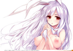 1girl :o absurdres animal_ears blush breasts breasts_apart collarbone completely_nude fingernails fingers_together hands_up highres ke-ta large_breasts light_purple_hair long_fingernails long_hair looking_at_viewer nipples nude open_mouth own_hands_together page_number purple_hair rabbit_ears red_eyes reisen_udongein_inaba scan simple_background solo tareme touhou translation_request upper_body white_background rating:Questionable score:34 user:danbooru
