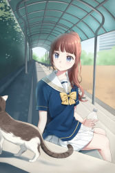 1girl bench blue_eyes blurry bottle bow bowtie brown_hair building cat commentary depth_of_field expressionless holding holding_bottle looking_at_animal looking_to_the_side original pleated_skirt ponytail sailor_collar school_uniform serafuku short_sleeves sitting skirt skyscraper solo tree unya_(unya-unya) water_bottle white_sailor_collar white_skirt yellow_bow yellow_bowtie rating:Sensitive score:8 user:danbooru