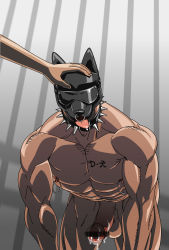 2boys abs absurdres bara bdsm collar cum erection highres male_focus mask multiple_boys muscular nipples nude pectorals penis pet pet_play solo_focus tattoo rating:Explicit score:7 user:harucho