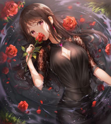1girl black_dress black_hair braid breasts cleavage cleavage_cutout clothing_cutout commentary_request dress flower flower_on_liquid holding holding_flower long_hair looking_at_viewer lunacle lying medium_breasts on_back original parted_lips partially_submerged petals petals_on_liquid purple_eyes red_flower red_rose ripples rose see-through short_sleeves solo very_long_hair water rating:Sensitive score:13 user:danbooru