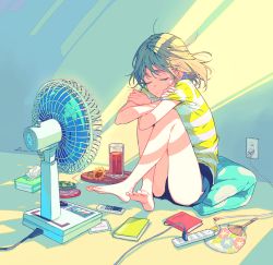 1girl bad_id bad_pixiv_id bare_legs barefoot blue_shorts book brown_hair cable closed_eyes closed_mouth electric_fan electrical_outlet flower full_body hand_fan ice ice_cube iced_tea indoors knees_up original paper_fan phone reia self_hug shirt short_hair short_shorts short_sleeves shorts side_slit sitting solo striped_clothes striped_shirt sunflower sunlight tissue_box tray uchiwa  rating:Sensitive score:6 user:danbooru
