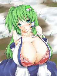 1girl ahoge aqua_eyes bad_id bad_pixiv_id bare_shoulders blue_eyes blush bow bow_bra bra breasts cleavage collarbone detached_sleeves female_focus frog from_above gigantic_breasts green_hair hair_tubes head_tilt highres huge_breasts japanese_clothes kochiya_sanae lace lace-trimmed_bra lace_trim lingerie long_hair looking_at_viewer looking_up miko nose_blush on_floor otogi_(s_in_w) outdoors parted_lips pink_bra side_ponytail sitting snake snow solo touhou underwear vest wetland  rating:Questionable score:93 user:danbooru
