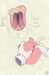  1girl amy_rose anus artificial_vagina arts_eidolon ass furry furry_female gloves green_eyes love_doll measurements penis pink_fur pussy sega sex_doll sex_toy sonic_(series) spread_anus spread_pussy tail testicles tongue tongue_out 