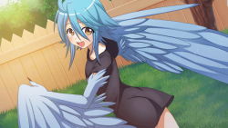  1girl ahoge artist_request ass black_dress blue_hair blue_wings blush breasts dress feathered_wings feathers fence game_cg grass hair_between_eyes harpy long_shirt looking_at_viewer looking_back medium_hair monster_girl monster_musume_no_iru_nichijou monster_musume_no_iru_nichijou_online official_alternate_costume official_art open_mouth outdoors papi_(monster_musume) small_breasts solo tree winged_arms wings yellow_eyes  rating:Sensitive score:23 user:danbooru