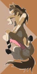  1boy animal_penis anus brown_eyes brown_hair centaur furry furry_male highres hooves horse horse_boy horse_penis huge_penis looking_at_viewer male_focus mirapony muscular muscular_male nude penis solo tail taur testicles uncensored veins veiny_penis  rating:Explicit score:20 user:centaur333