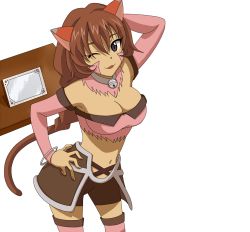  .hack// .hack//g.u. .hack//roots 00s 1girl animal_ears bandai bell bike_shorts bracelet breasts briefcase brown_eyes brown_hair cat_ears cat_girl collar cyber_connect_2 detached_sleeves female_focus image_sample jewelry jingle_bell long_hair lowres midriff miniskirt one_eye_closed pixiv_sample shorts simple_background skirt skyemerald solo tabby thighhighs white_background wink zettai_ryouiki 