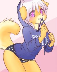  animal_ears breasts cunte dog furry large_breasts panties pink_eyes smile sweater tail te_(tenmoom) the-kitty_(artist) underwear white_hair  rating:Questionable score:64 user:opuk0