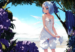 1girl beach bloomers blue_eyes blue_hair blue_sky cirno cloud collarbone crotchless crotchless_bloomers crystal_wings drying drying_clothes female_focus flat_chest flower gluteal_fold hair_ribbon hanging highres ice ice_wings ke-ta leaf loli looking_to_the_side ocean open_mouth outdoors partially_visible_vulva puddle rain reflection reflective_floor reflective_water ribbon see-through short_hair sky solo squeezing touhou transparent tree underwear wallpaper water waves wet wet_clothes wings wringing_clothes rating:Questionable score:56 user:happychildless