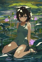  1girl absurdres animal_ears arm_support arms_at_sides barefoot blue_one-piece_swimsuit blush brown_eyes brown_hair cat_ears cat_girl closed_mouth collarbone day flower full_body hair_between_eyes highres in_water kgt_(pixiv12957613) leaning_back lily_pad looking_at_viewer one-piece_swimsuit original outdoors pink_flower plant ripples short_hair sidelocks sitting smile solo swimsuit wariza water 