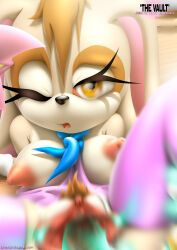  breasts breasts_out highres large_breasts shy sonic_(series) tagme tcprod vanilla_the_rabbit  rating:Explicit score:3 user:gelbooby