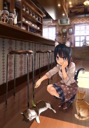 1girl absurdres air_conditioner animal_ears antique_phone apron bad_id bad_pixiv_id bell bell_earrings black_hair blue_eyes bottle brick_wall brown_footwear cabinet cafe cat cat_ears cat_tail cat_teaser clock coffee_maker collared_shirt corded_phone counter cup dishes drawing_(object) earrings eyes_visible_through_hair head_rest highres indoors jar jewelry legs_together light loafers long_sleeves namamizu000 open_mouth original paw_print phone picture_frame plaid plaid_skirt plate pleated_skirt rotary_phone shelf shirt shoes short_hair skirt solo squatting stool tail triangle_mouth tsurime waist_apron wall_clock wallpaper_(object) white_shirt wide_shot window window_blinds wooden_floor rating:Sensitive score:14 user:danbooru