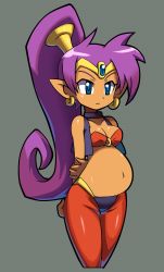  1girl absurdres belly blue_eyes breasts cleavage dark_skin dark-skinned_female earrings female_focus highres jewelry makoto_yabe official_art pointy_ears ponytail pregnant purple_hair shantae shantae_(series) shantae_and_the_pirate&#039;s_curse solo third-party_edit  rating:Sensitive score:69 user:Juni221