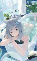  1girl animal_ears ass blue_archive blue_eyes blue_halo bubble cellphone completely_nude feet grey_hair hair_ornament hairclip halo highres in_bathtub ningen_gokko nude phone plant potted_plant shiroko_(blue_archive) signature smartphone soles twitter_username window wolf_ears 