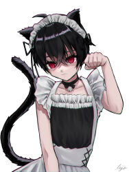  1boy :3 absurdres ahoge animal_ears arm_up bell black_hair cat_day cat_tail collarbone crossdressing highres jingle_bell maid maid_headdress male_maid miyano_(user_nhea8337) original red_eyes short_hair short_sleeves signature tail trap 