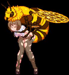  1girl animated animated_gif bdsm bee bent_over bestiality bra breasts bug giant_insect bug jk_hazard lowres nipples pixel_art rape restrained sex shirt standing torn_bra torn_clothes torn_legwear torn_shirt transparent_background underwear  rating:Explicit score:197 user:Royalnavy