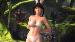 1girl 3d animal_ears bikini braid dead_or_alive dead_or_alive_5 fur highres lei_fang monkey nature official_art rabbit_ears swimsuit tecmo rating:Sensitive score:26 user:Tairon