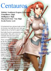 1girl armor centaur centaur_knight character_profile hard-translated knight monster_girl okayado pointy_ears polearm ponytail red_eyes red_hair solo spear tail taur third-party_edit translated tsundere weapon rating:Questionable score:41 user:Starrk