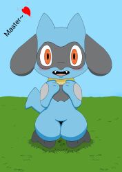  absurdres ambiguous_gender blue_fur blush creatures_(company) english_text game_freak gen_4_pokemon grass happy highres kneeling looking_at_viewer nintendo open_mouth outdoors plant pokemon pokemon_(creature) riolu simple_background smile solo tail teeth thick_thighs thighs  rating:General score:1 user:AnuvisUR