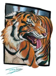 animal animal_focus fangs highres no_humans realistic signature tiger tongue tongue_out 