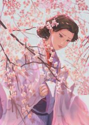  1girl brown_hair cherry_blossoms geisha hair_bun highres japanese_clothes kalouriis kimono miyokichi miyokichi_(rakugo) pink_kimono shouwa_genroku_rakugo_shinjuu  rating:General score:0 user:AnnaDasha