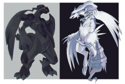  animal_focus artist_request blue_eyes blue_sclera claws colored_sclera creatures_(company) dragon fangs flower game_freak gen_5_pokemon horns legendary_pokemon nintendo no_humans pokemon pokemon_(creature) red_sclera reshiram sharp_teeth single_horn tail teeth white_eyes wings zekrom 