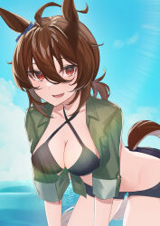 1girl absurdres agnes_tachyon_(lunatic_lab)_(umamusume) agnes_tachyon_(umamusume) ahoge animal_ears belt belt_pouch bikini black_bikini blue_shorts breast_pocket breasts brown_eyes brown_hair canister cleavage cloud cloudy_sky commentary_request cowboy_shot criss-cross_halter ear_ornament flask green_jacket groin hair_between_eyes halterneck hand_around_wrist highres horse_ears horse_girl horse_tail jacket leather_wrist_straps long_sleeves medium_breasts medium_hair micro_shorts midriff motion_lines navel ocean official_alternate_costume official_alternate_hairstyle open_clothes open_fly open_mouth open_shorts outdoors pocket pouch round-bottom_flask short_ponytail shorts sky solo splashing swimsuit tail thigh_strap tied_jacket torn_clothes torn_shorts umamusume wading wet wrist_straps yu_sakae